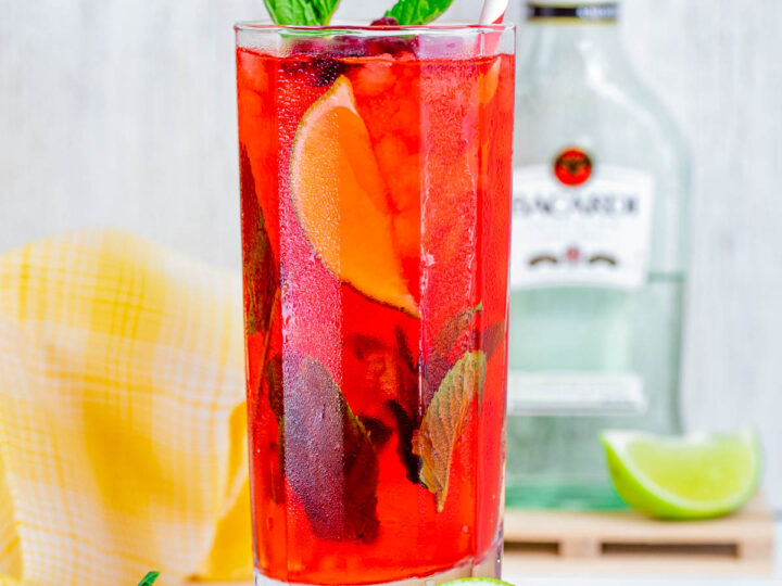 Pomegranate Mojito