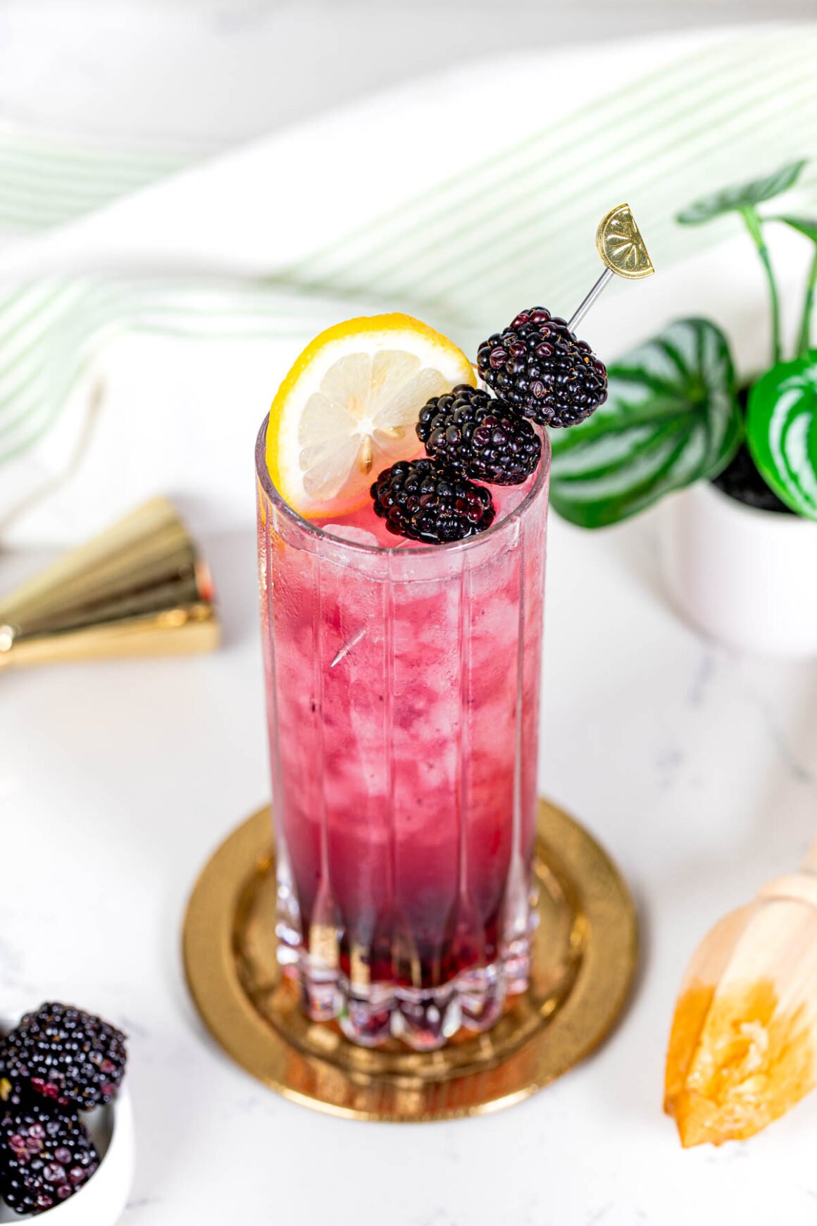 Freshly blackberry collins recipe served into a collins glass
