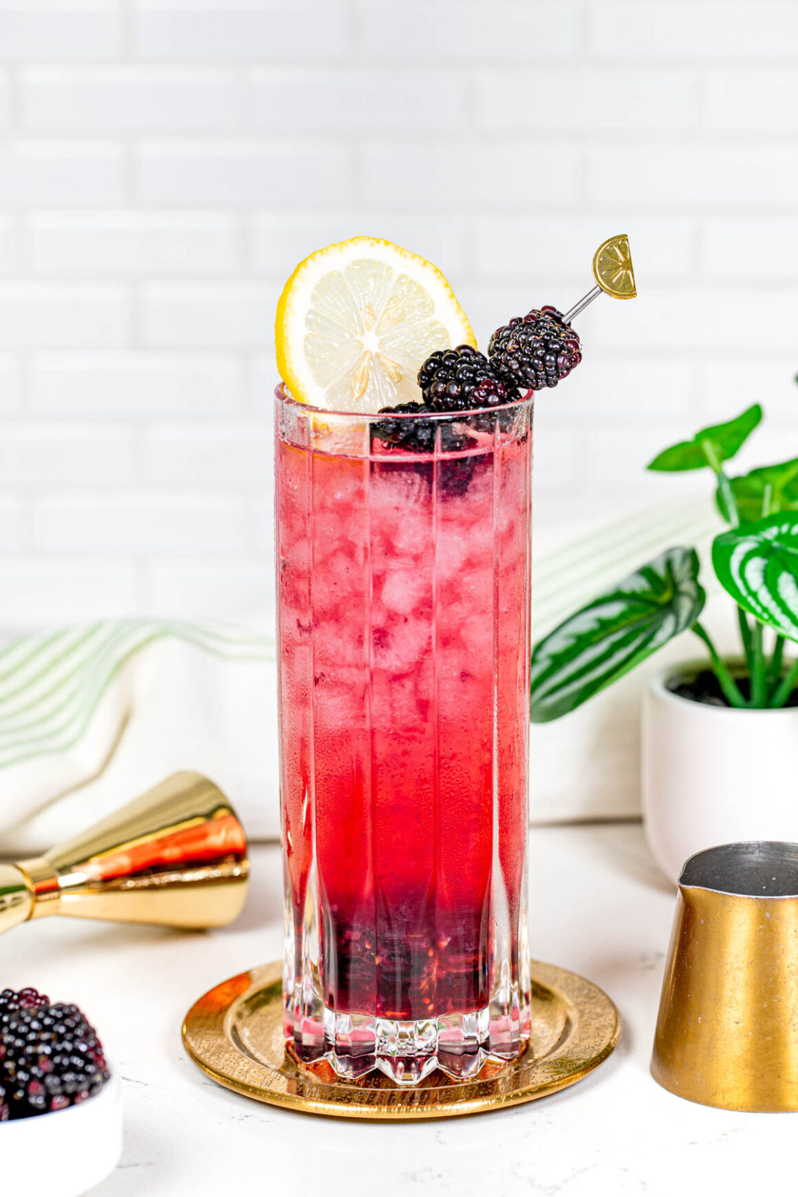 blackberry collins serve into a tall glass gasnished with blackberry skewer