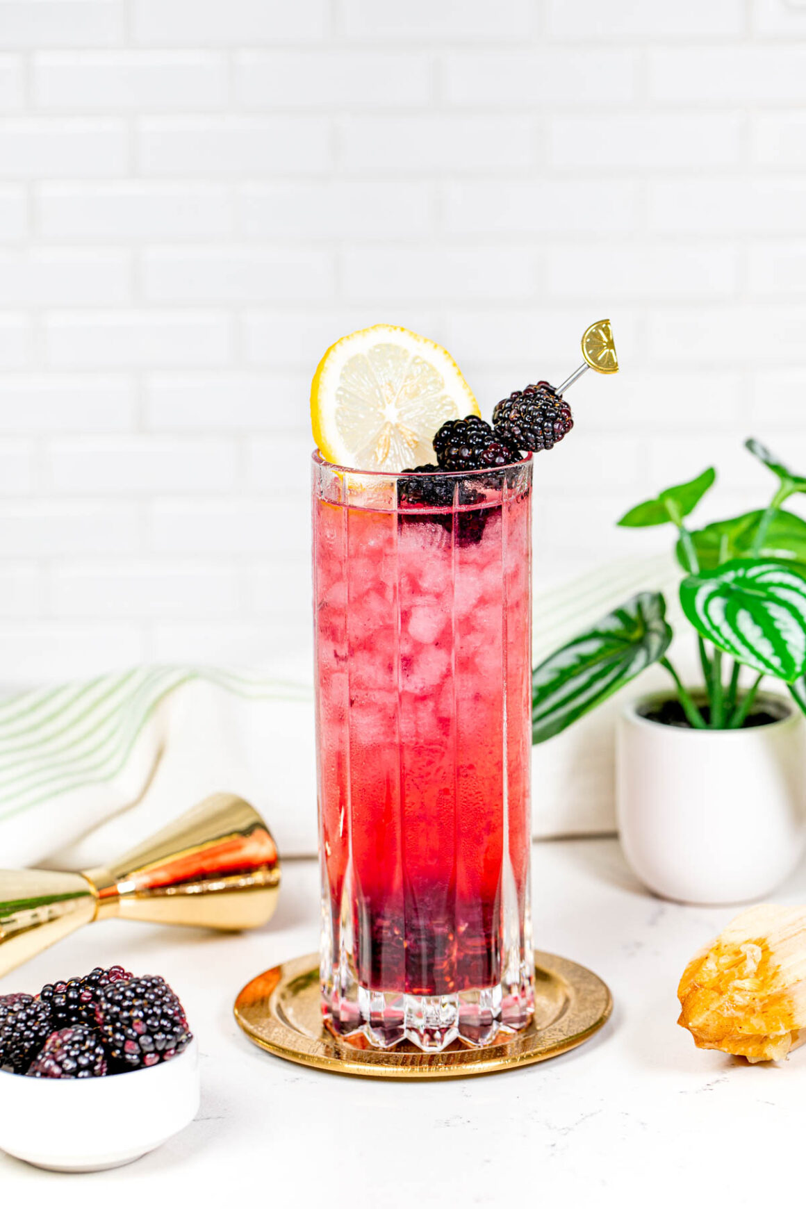 blackberry cocktail recipe
