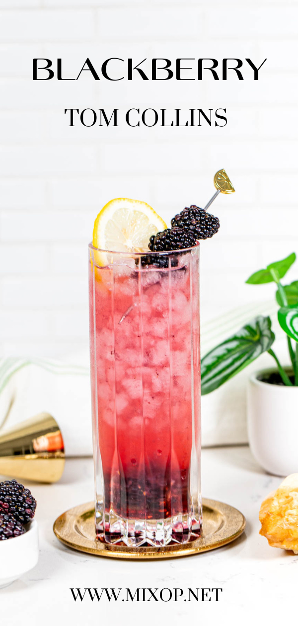 pin for blackberry drink