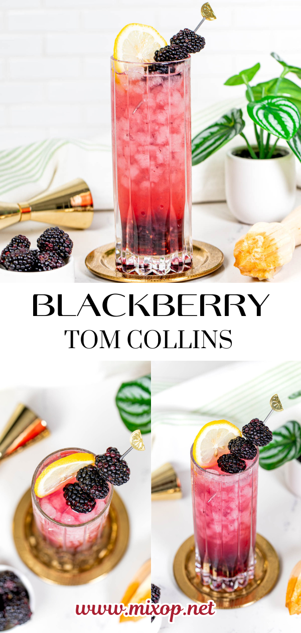 collage of a blackberry cocktail