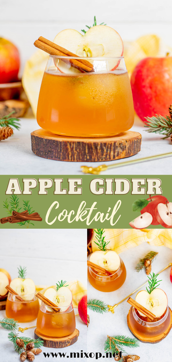 pin Easy Apple Cider Cocktail 
