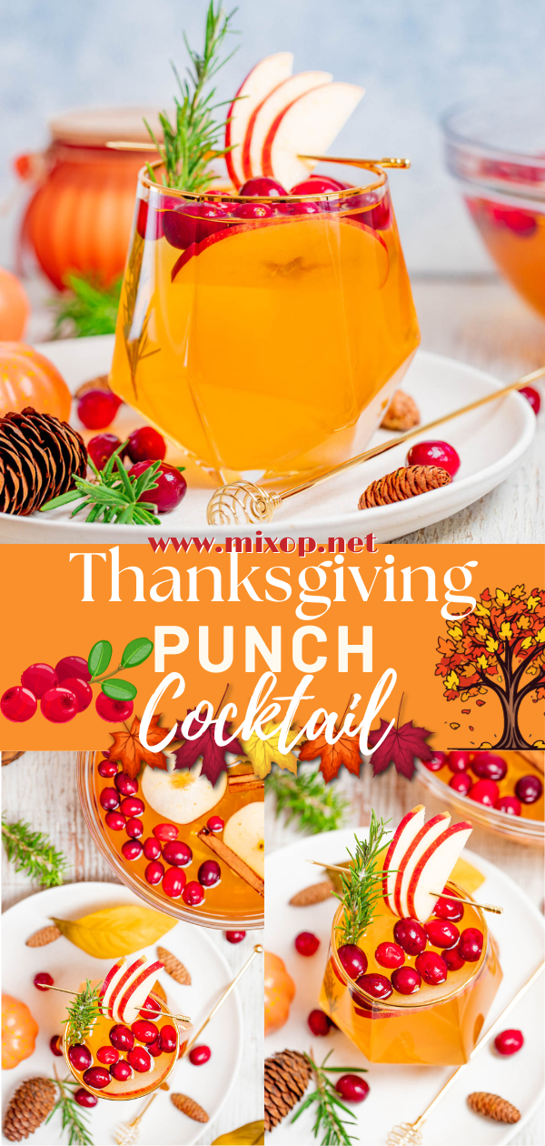 Thanksgiving punch cocktail for festive gatherings!